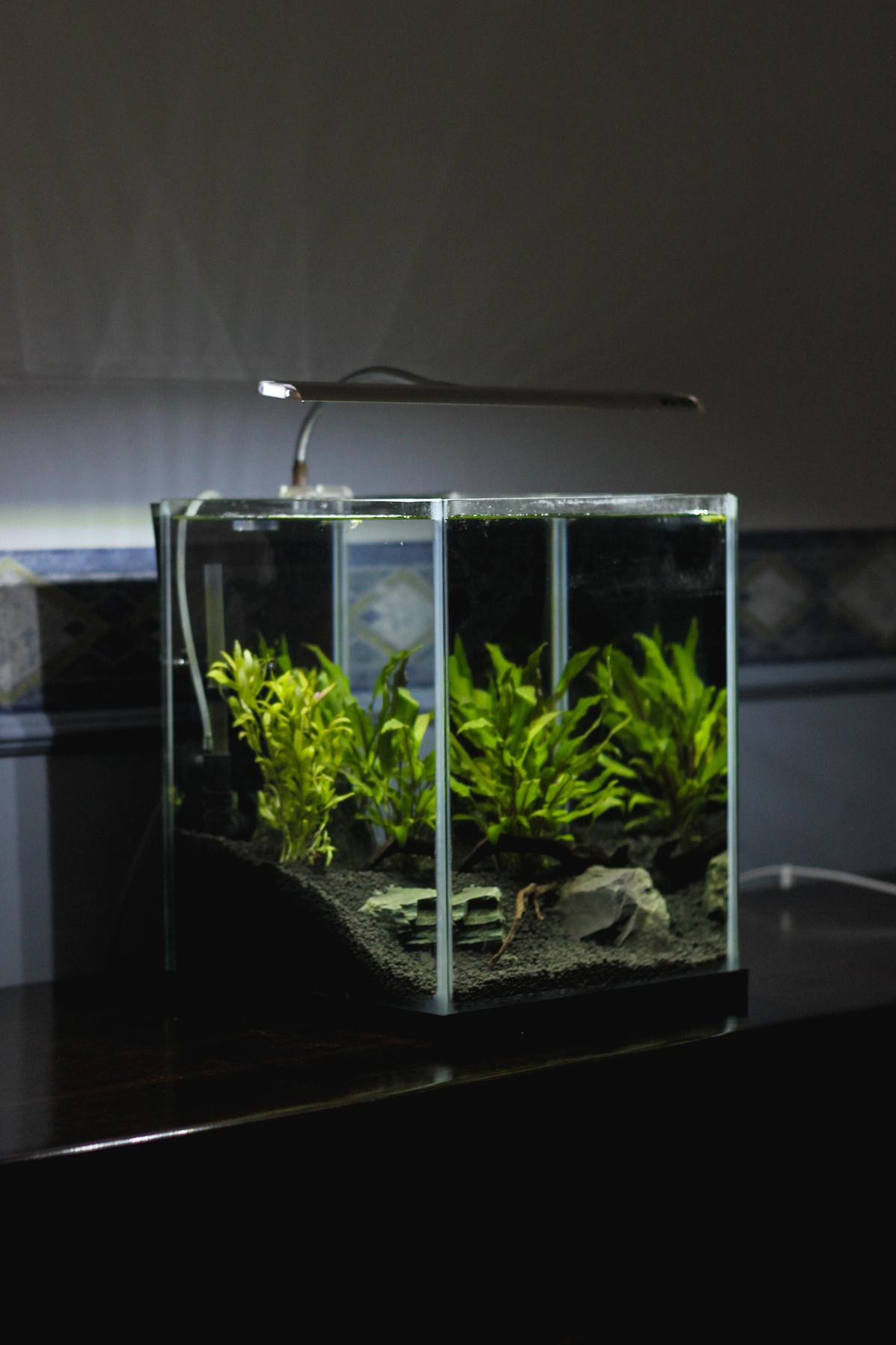 Akuarium