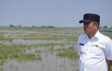 Bukan Hanya Kota! Bupati Karawang Tegaskan Pemerataan Pembangunan Infrastruktur Karawang Hingga Pelosok Desa