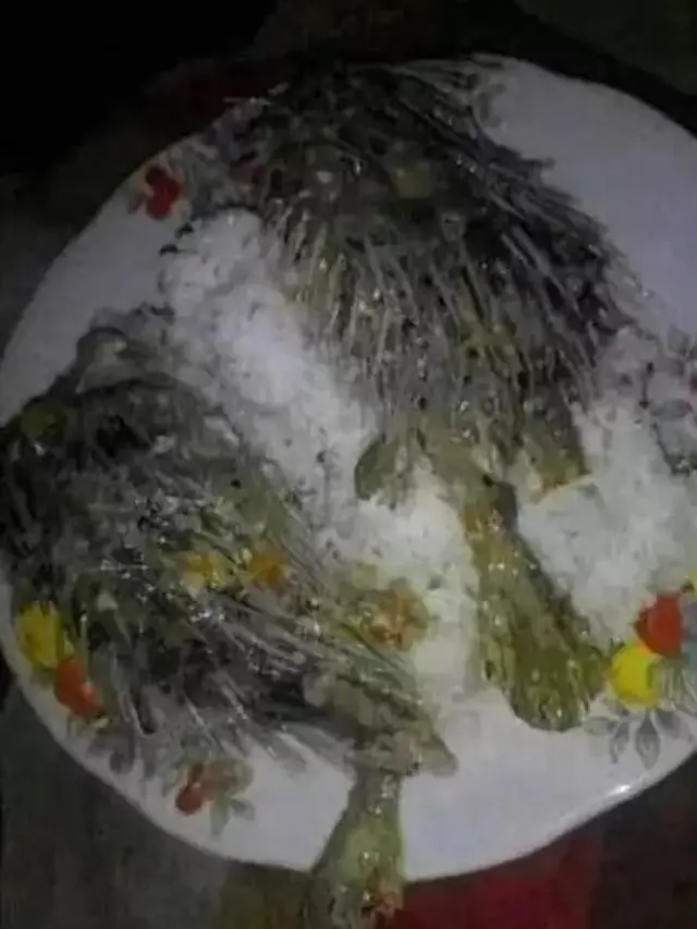 6 Makanan Olahan Ikan Ini Nyeleneh, Bikin Hilang Nafsu Makan