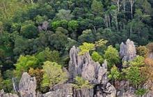 Pesona Batu Runciang di Sawahlunto, Kumpulan Bebatuan Karst Berbentuk Unik yang Instagramable