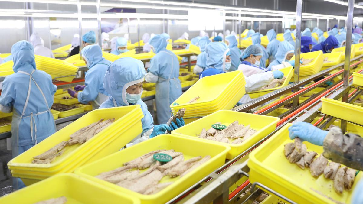 Aktivitas Pekerja Perusahaan Produk Ikan di Kota Donggang