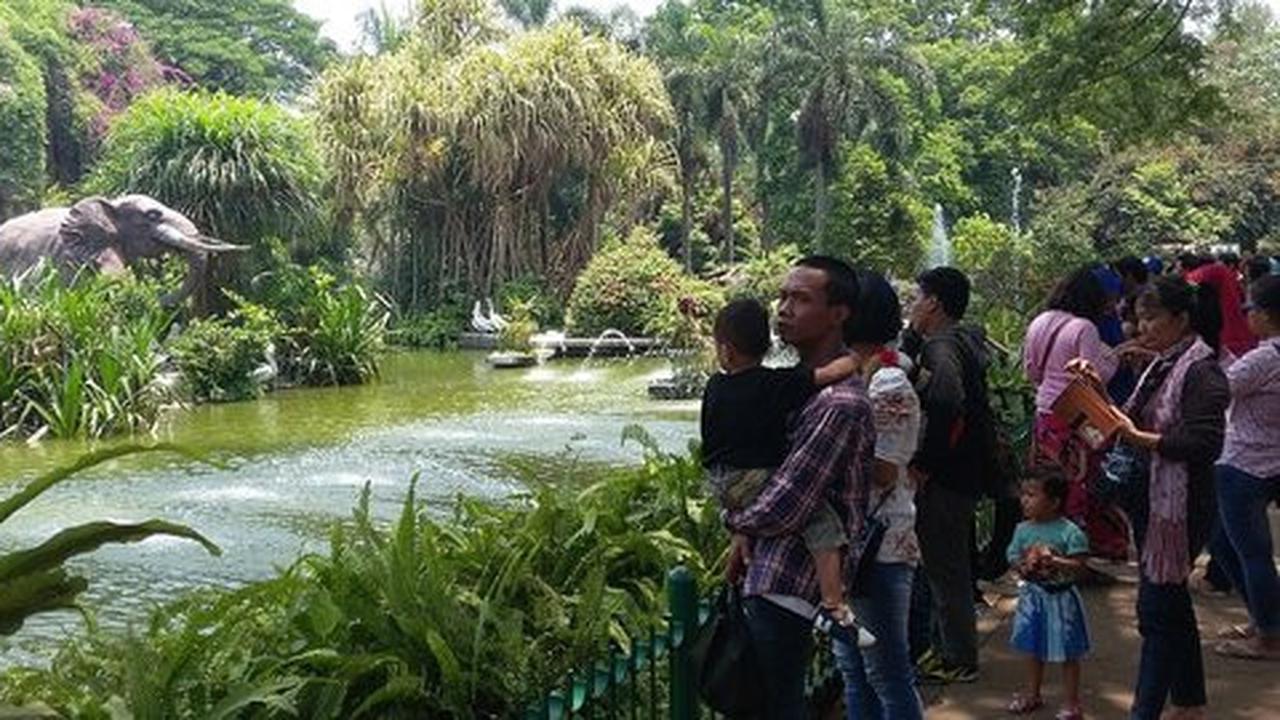 Manfaatkan hari libur, warga Jakarta berwisata ke Ragunan