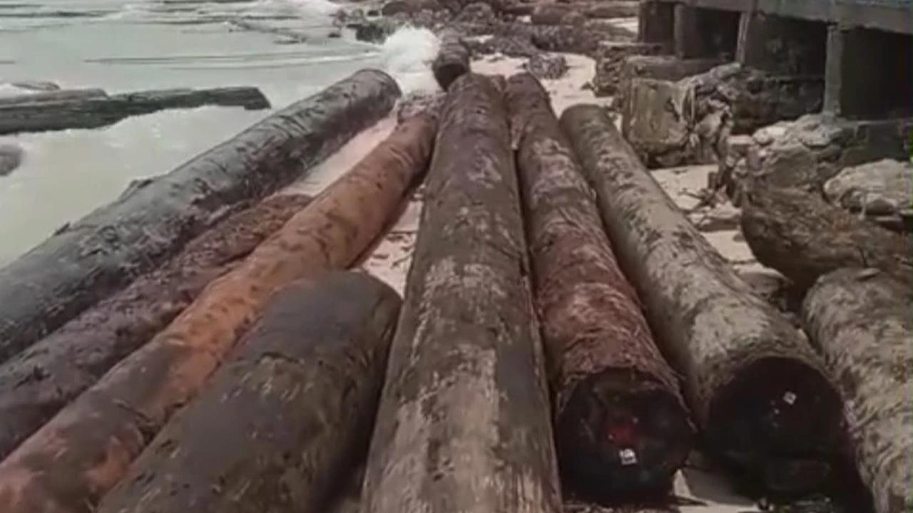 Viral Video Kapal Tongkang Muatan Kayu Asal Sumatra Barat Karam di Lampung