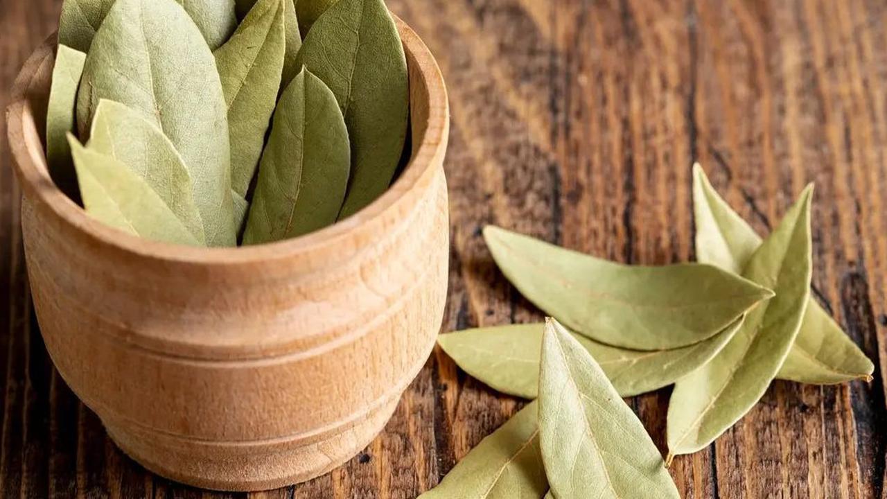 Manfaat Daun Salam untuk Menurunkan Kolesterol dan Mengelola Gula Darah