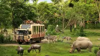 Taman Safari Indonesia Ikut Lelang Pengelola Bandung Zoo, Minta Proses Seleksi Transparan