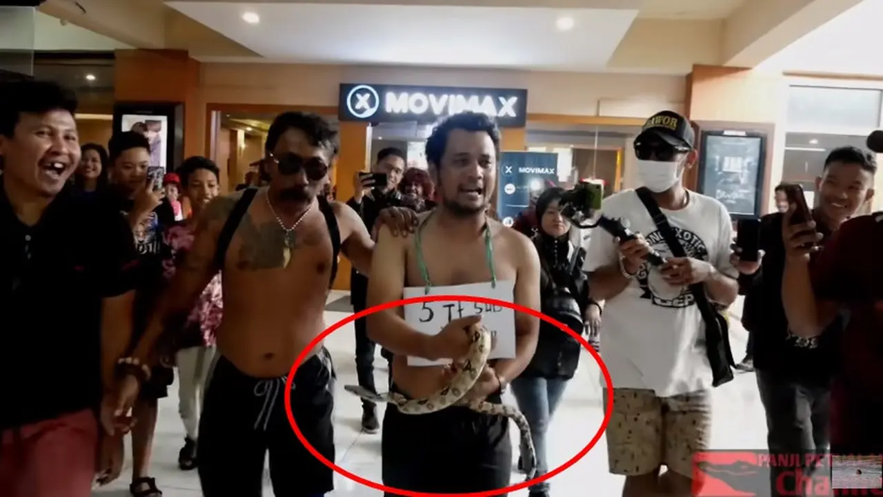 Nekat, Ini 6 Potret Panji Petualang Pakai Kolor Bawa Ular Keliling Mall