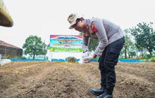 Polres Karawang Tanam Jagung Serentak, Dukung Swasembada Pangan Nasional 2026
