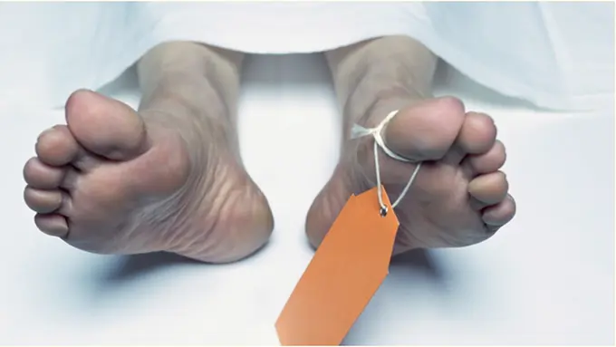 copyright by shutterstock.com