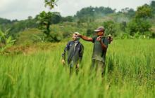 KUR BRI Jangkau 2,76 Juta Debitur, Pembiayaan Sektor Produksi Tembus Rp98,86 Triliun