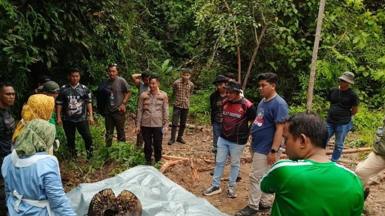 Gakkum KLHK Panggil Direksi PT RAPP Terkait Kematian Gajah Sumatera di Riau