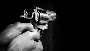 Ilustrasi pistol (pixabay)