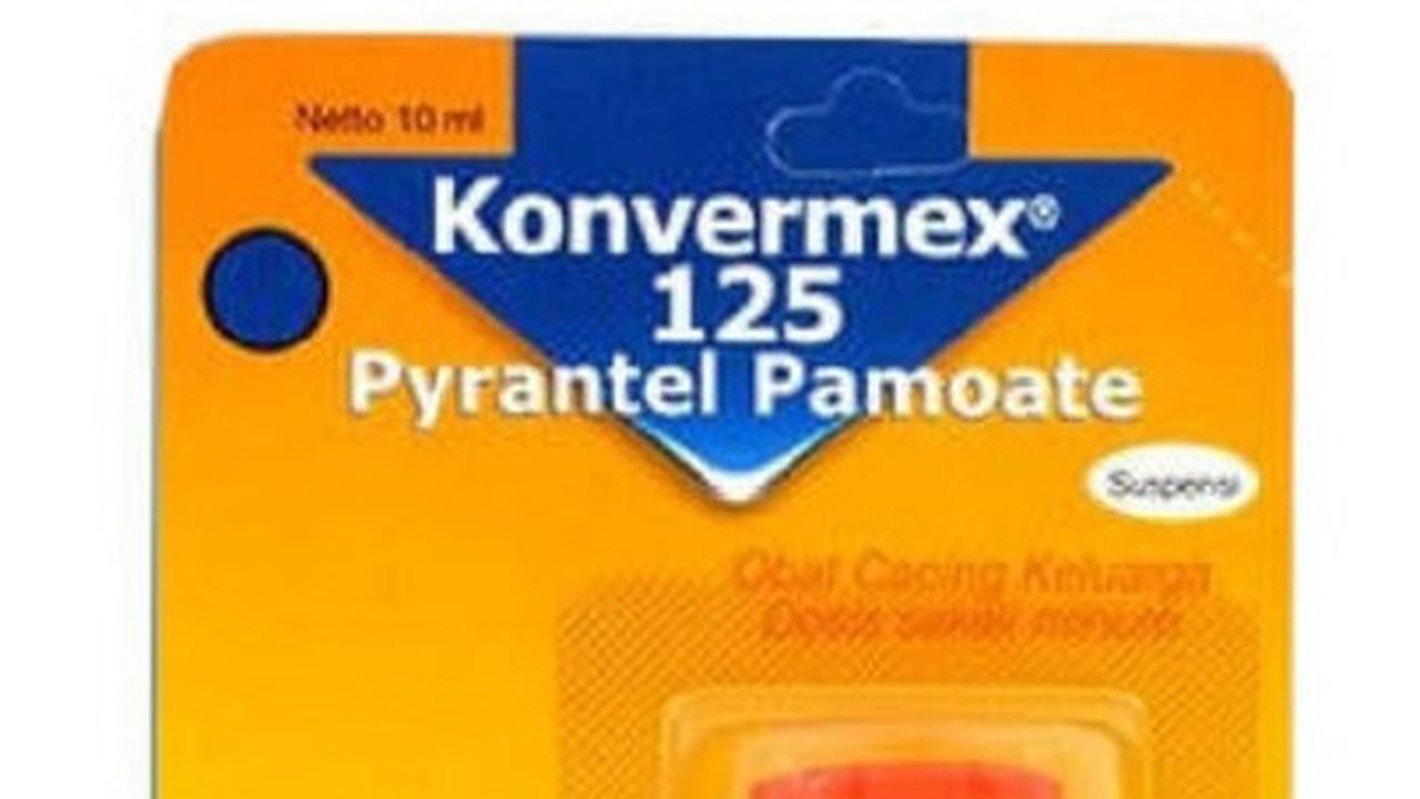 Obat Cacing Anak