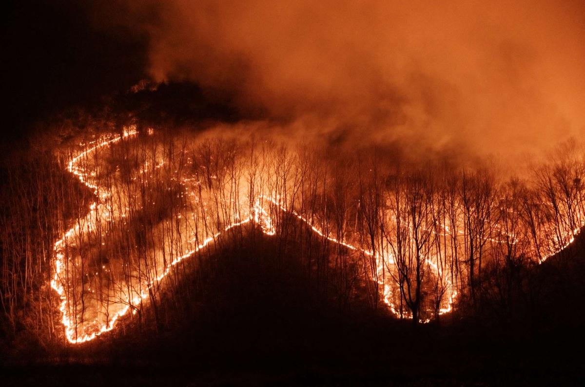 Kebakaran hutan Korea Selatan semakin ganas