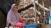 Jamur Tiram Jadi Peluang Emas bagi Warga Baringin Padang