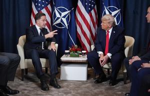 Presiden Amerika Serikat Donald Trump dan Sekretaris Jenderal NATO Mark Rutte menggelar pertemuan di sela ajang World Economic Forum (WEF) pada Rabu (21/1/2026). (Dok. AP/Evan Vucci)