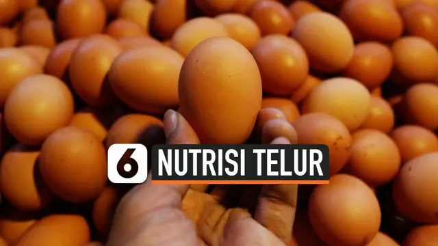 VIDEO: Mengenal Kandungan Nutrisi di Dalam Telur