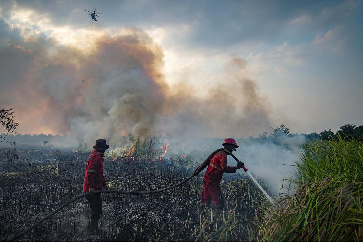 FOTO: Api Lahan Gambut di Ogan Ilir Berhasil Dipadamkan Manggala Agni dan Tim Gabungan