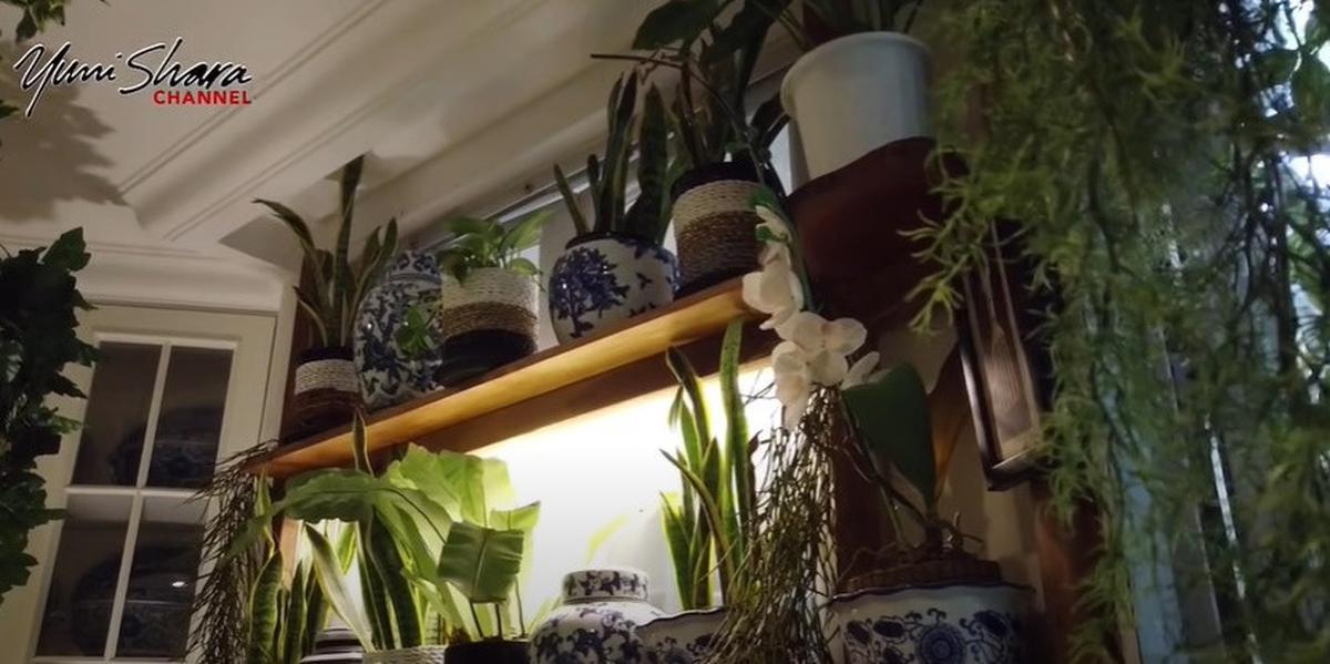 Bertema Jungle House, 8 Potret Dapur Yuni Shara yang Vintage dengan Banyak Tanaman dan Keramik