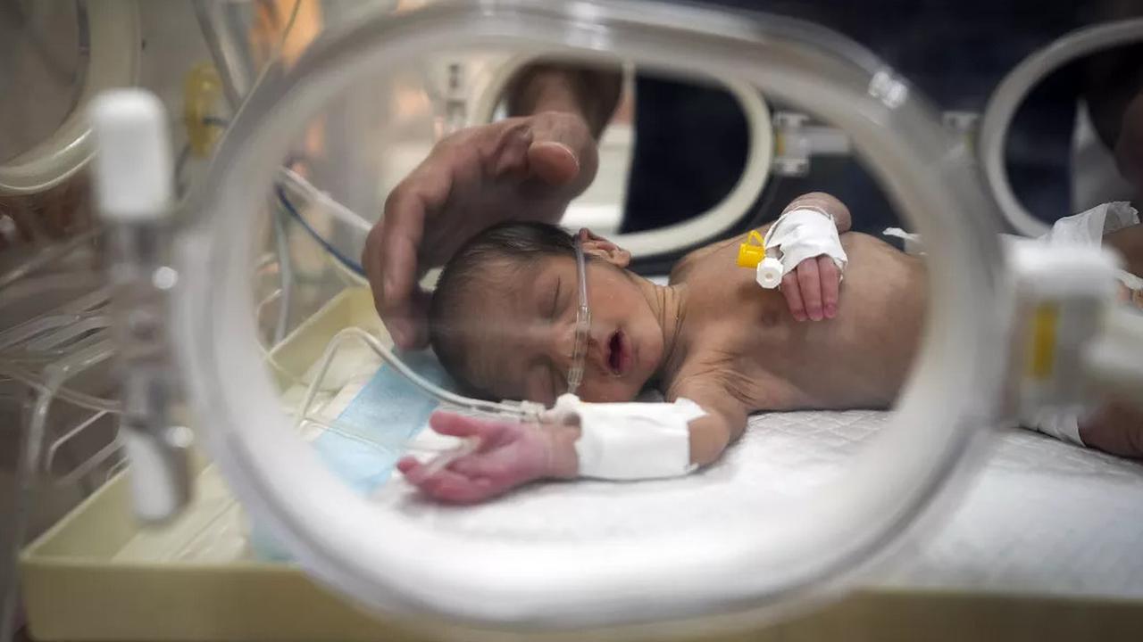 bayi di gaza