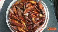 Belalang Goreng, Kuliner Ekstrim Khas Gunungkidul