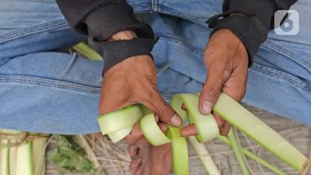 FOTO: Kulit Ketupat