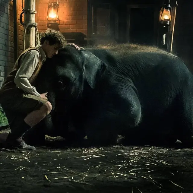 Zoo (2017)