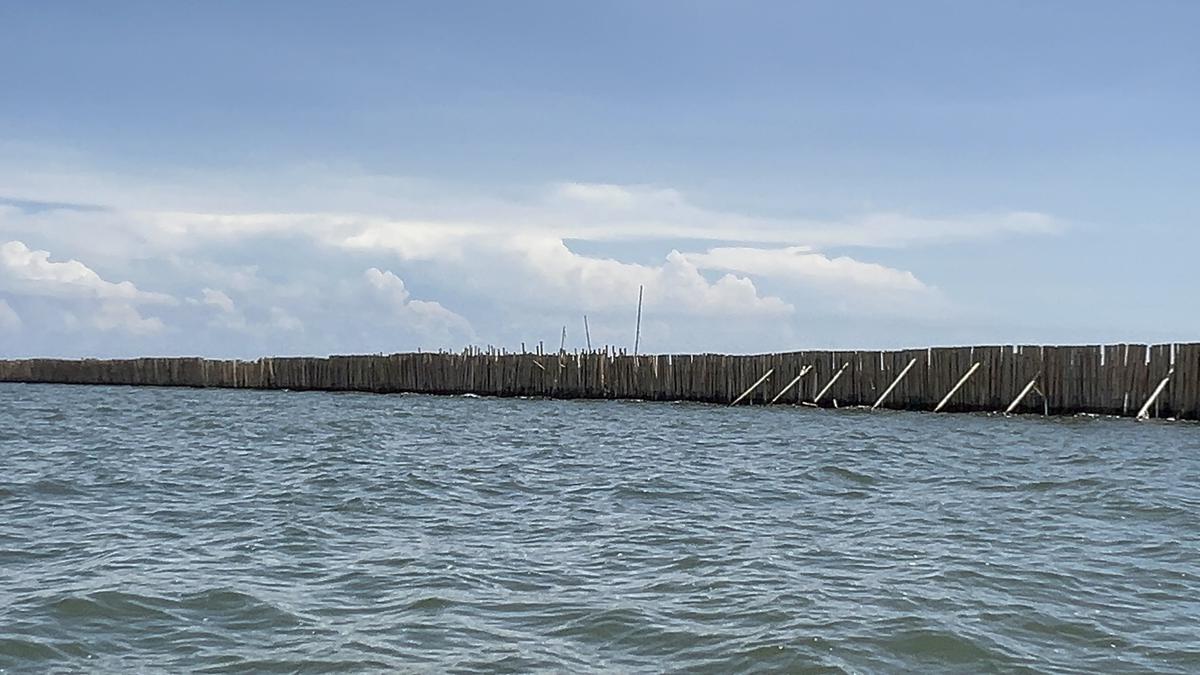 pagar laut di kohod