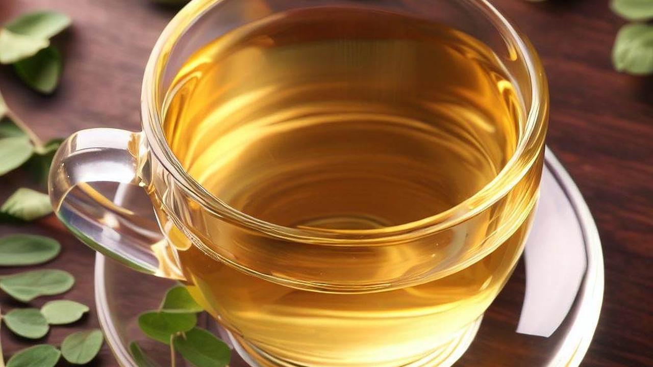 Kandungan Nutrisi Daun Kelor Kering