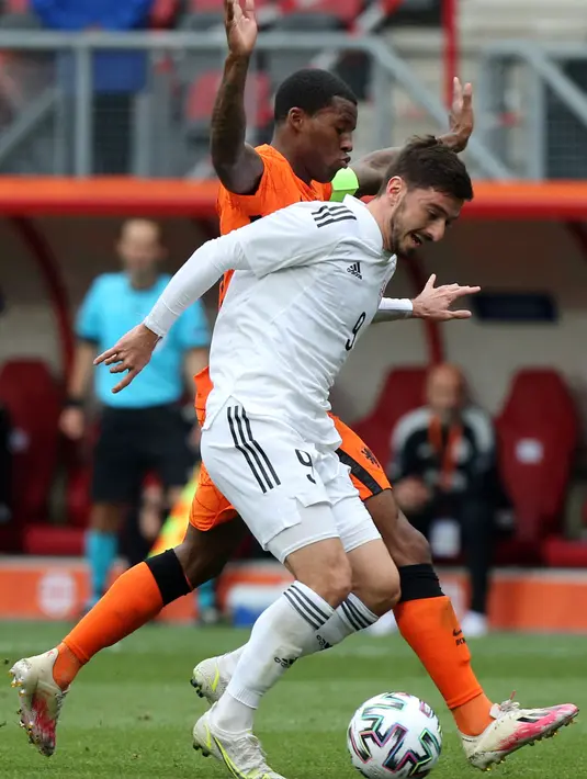Gelandang Belanda, Georginio Wijnaldum (kiri) berebut bola dengan pemain tengah Georgia, Otar Kiteishvili dalam pertandingan uji coba jelang Piala Eropa 2020 di De Grolsch Veste, Minggu (6/6/2021). Belanda menang meyakinkan 3-0. (François WALSCHAERTS / AFP)