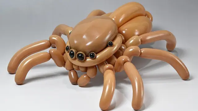 Balloon Art