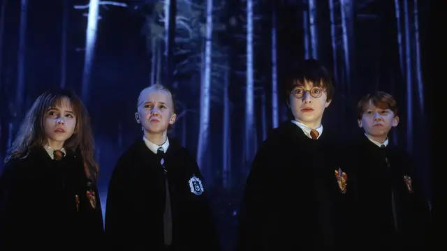 Harry Potter MBTI