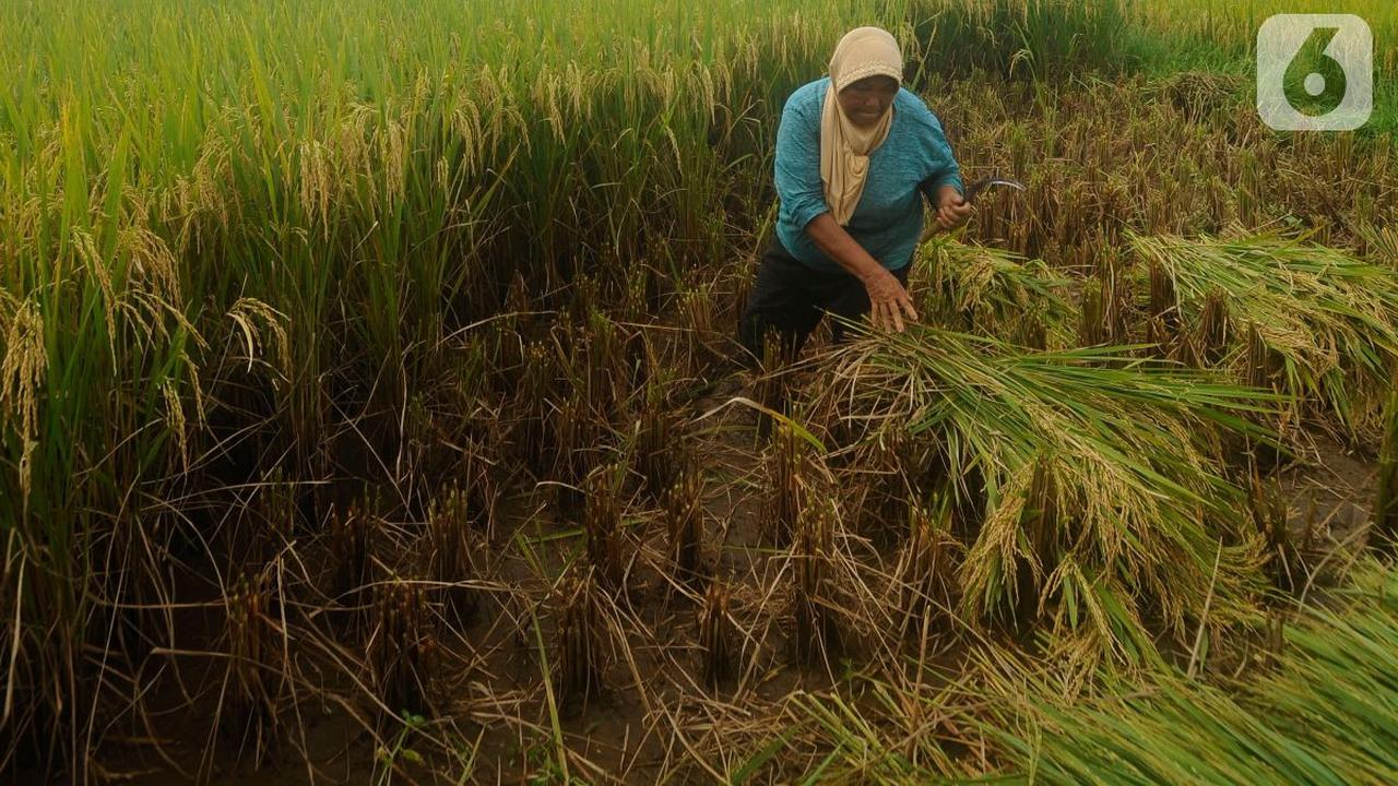 Mensejahterakan Masyarakat Kecil