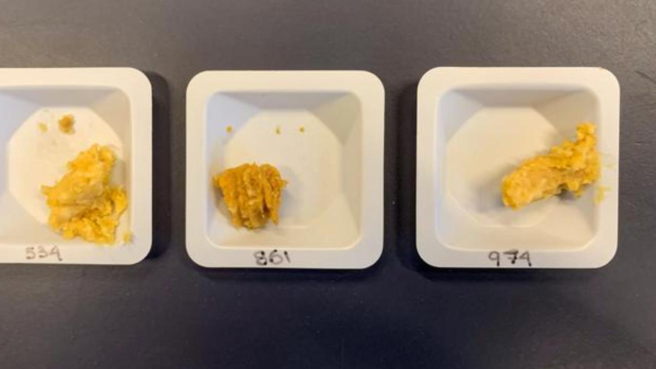 Astronot Eksperimen Bikin Miso di Luar Angkasa, Begini Rasanya?
