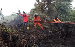 Kabut Asap Muncul, Operasi Terpadu Kebakaran Hutan Kalimantan Diperkuat