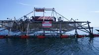 Badak LNG meluncurkan Jaka Samudra (Jaringan Kawasan Sistem Pelampung Akuakultur Modern Ramah Lingkungan).