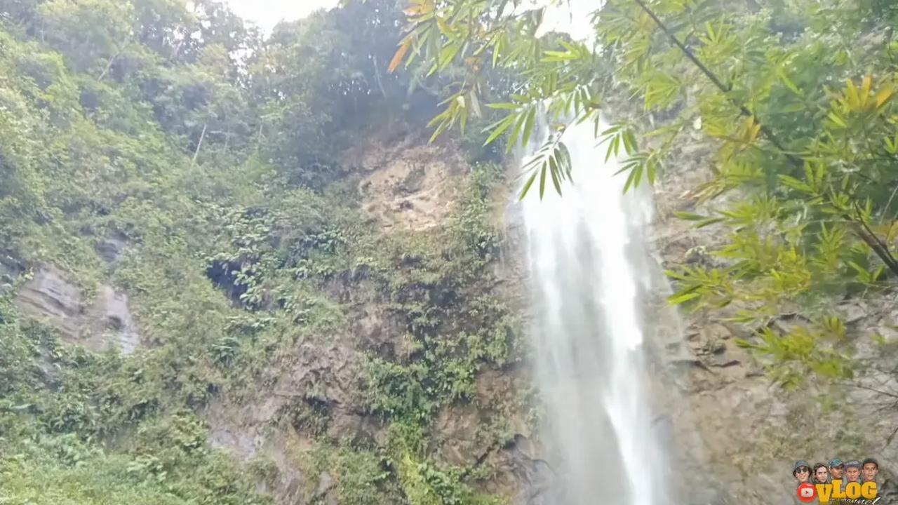 Dihiasi tanaman bambu