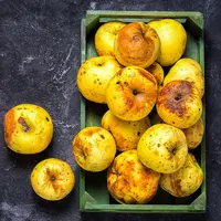 ilustrasi apel busuk/photo by Elena11 (Shutterstock)