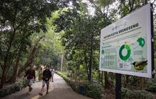Trivia: Jakarta Peringkat ke-15 Kota Terburuk di Dunia, Kualitas Udara Jakarta Pagi Ini Masih Tak Sehat