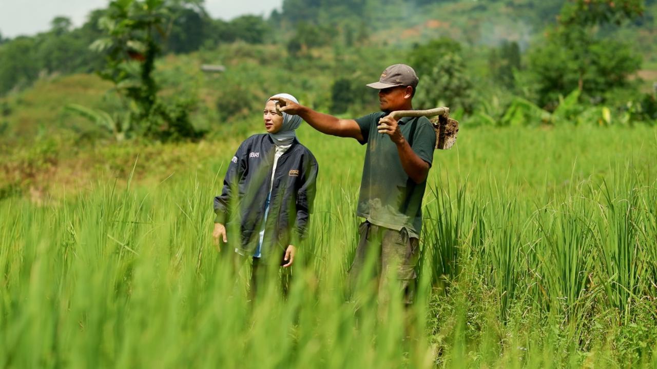 BRI Dorong Pemberdayaan UMKM dengan Salurkan KUR Rp83,88 Triliun, Pertanian Jadi Fokus Utama