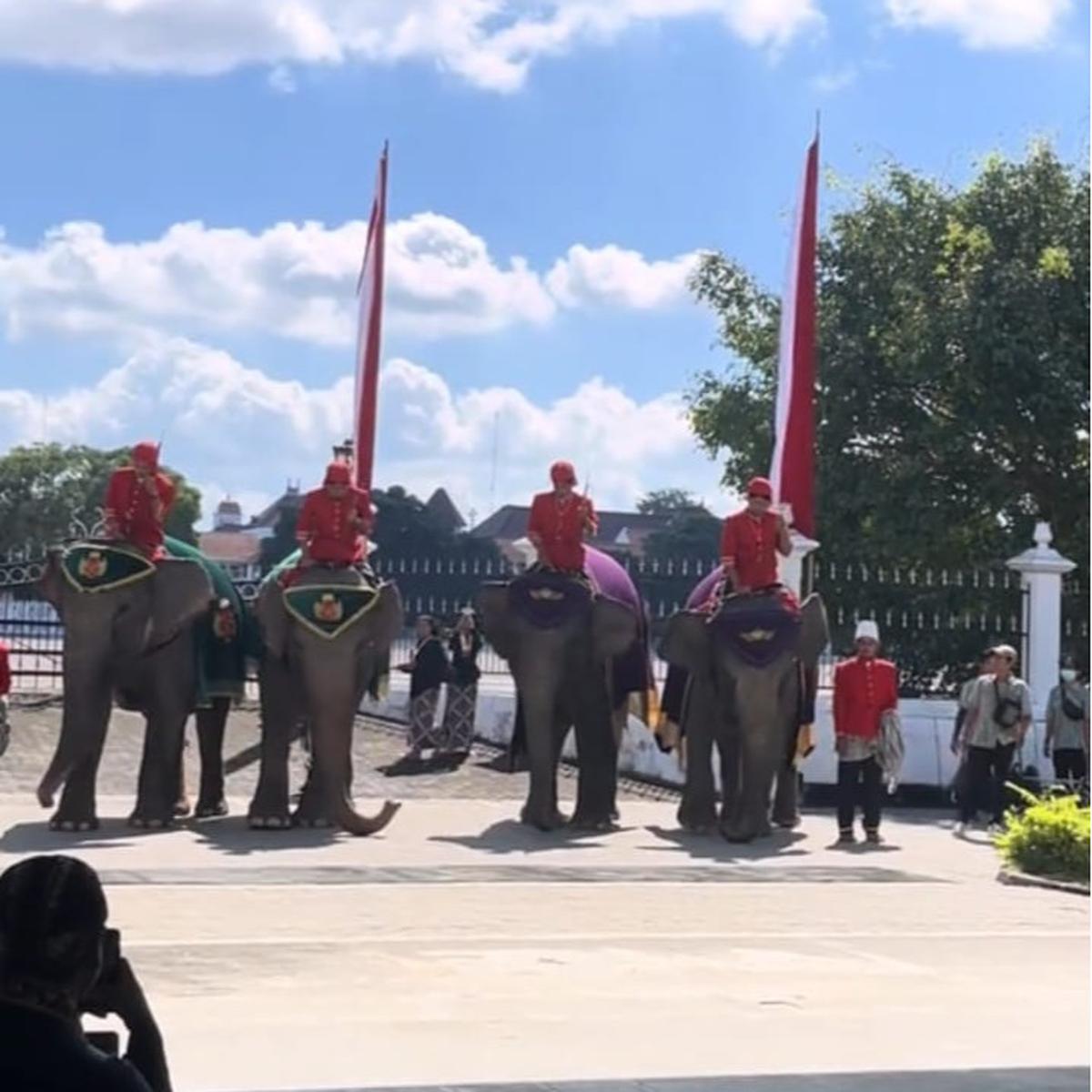 ilustrasi iringan gajah