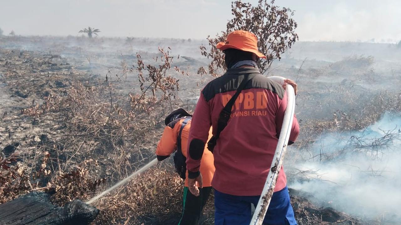 Wamenhut Sulaiman Umar Pantau Langsung Penanganan Karhutla di Riau
