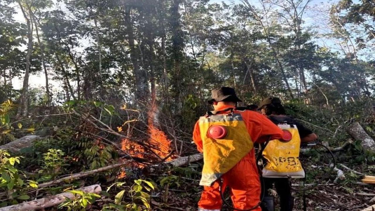 Respons Cepat BPBD Barito Utara Padamkan Karhutla di Desa Trahean