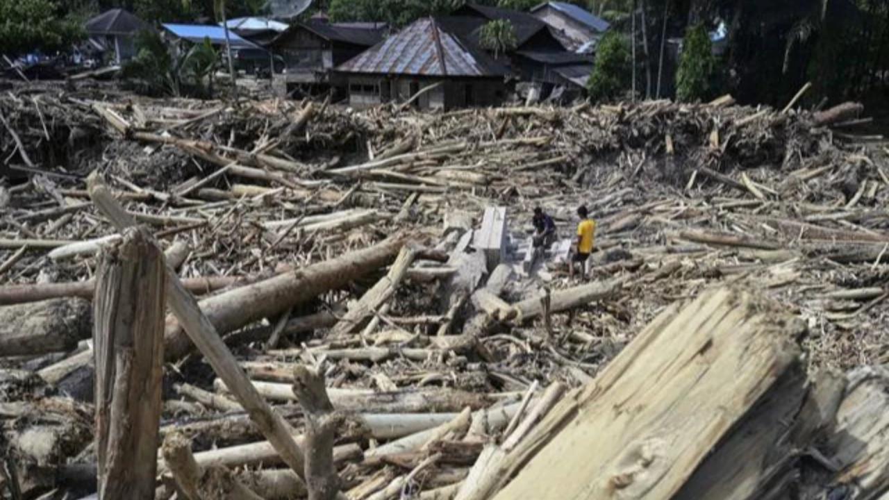 WWF Indonesia: Banjir di Sumatra Merupakan Akumulasi Kebijakan Kemenhut Selama Bertahun-tahun