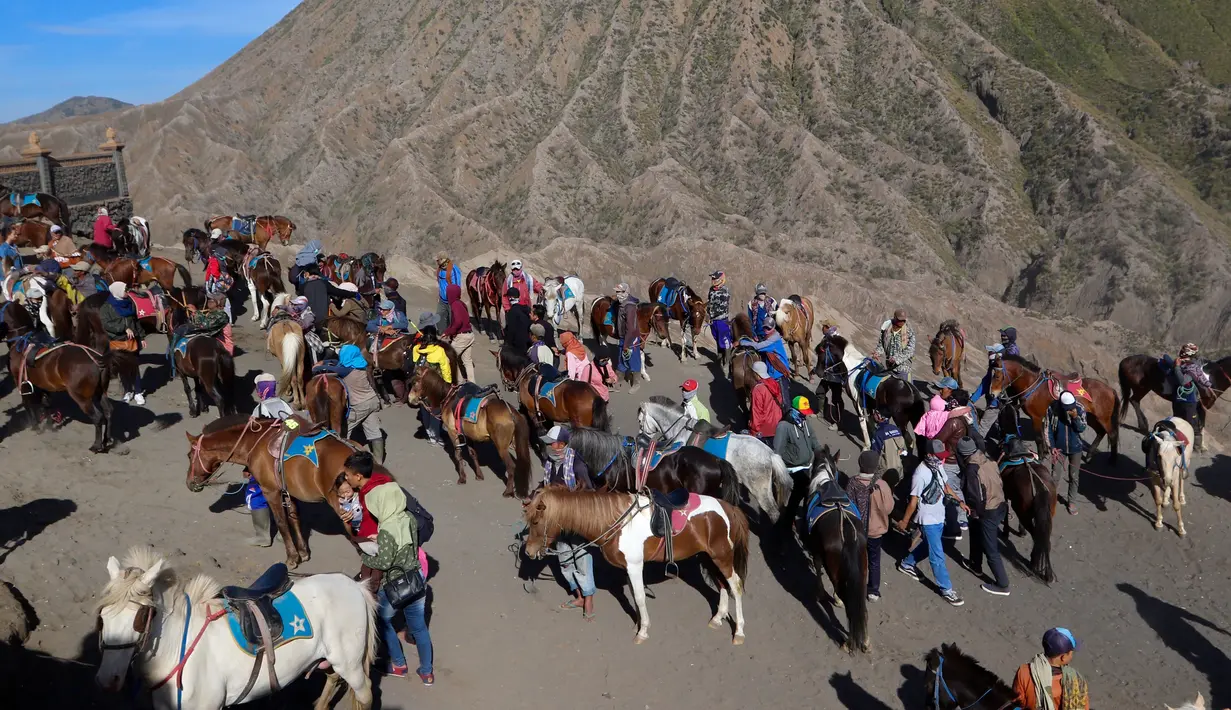 Puluhan joki berkuda menunggu wisatawan yang akan turun dari Gunung Bromo di Taman Nasional Bromo Tengger Semeru, Jawa Timur, Sabtu (4/11). Joki akan mendampingi wisatawan keliling kawasan Gunung Bromo. (Liputan6.com/Fery Pradolo)