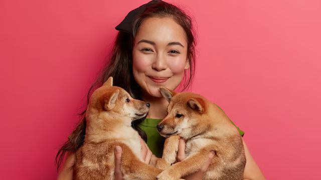 Western Astrology for Dogs