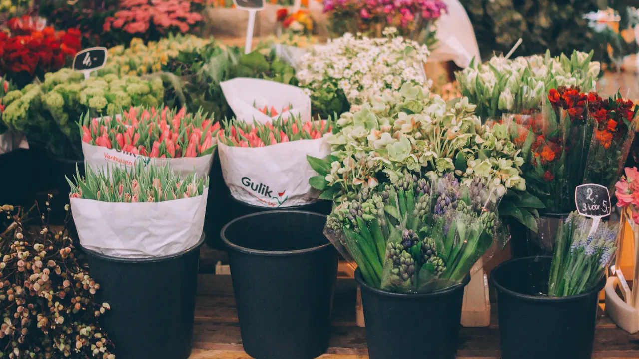 Weekend Flowers Market di Hutan Kota, Cara Plataran Beri Kail untuk UMKM