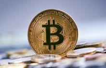Alasan Halving Bitcoin Selalu Menjadi Momen Krusial bagi Investor