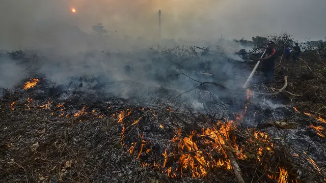 Perjuangan Petugas Padamkan Kebakaran Hutan Riau