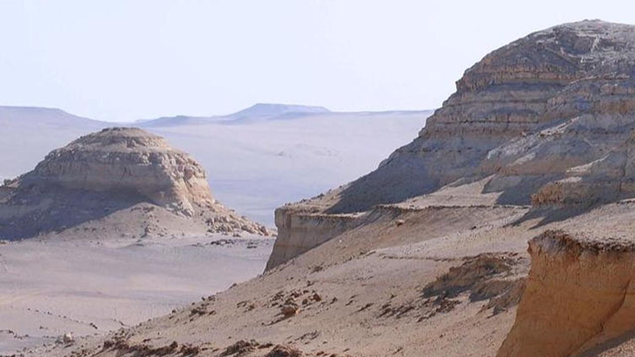 Pemandangan gurun pasir di Peru selatan yang menjadi lokasi penemuan fosil paus purba Perucetus colossus.