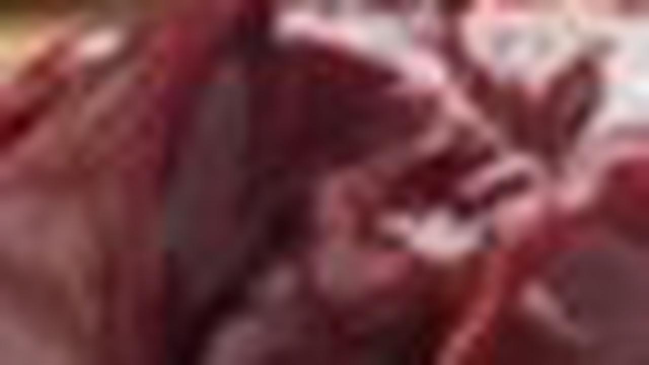 2. Resep Makanan Penggemuk Kucing Hati Ayam<br>